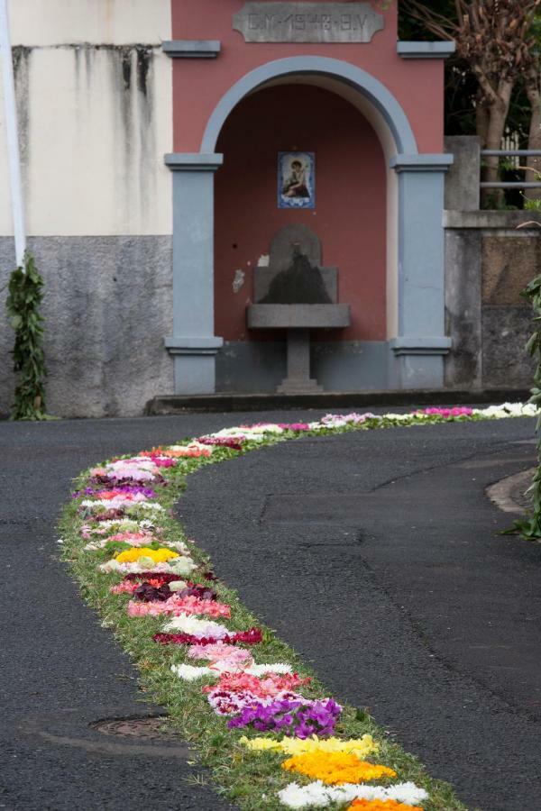 Antonella Home Funchal Exteriör bild